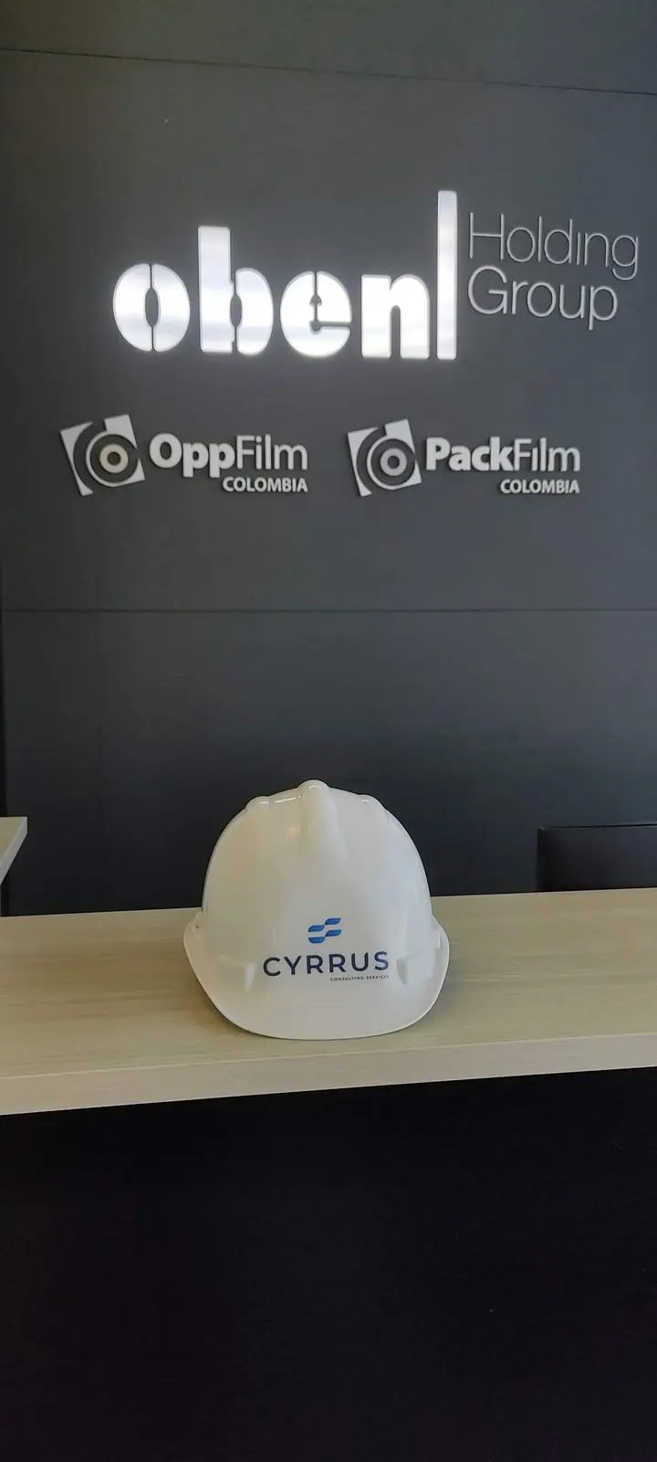 Consultor de Cyrrus capacitando al equipo de un cliente para operar su sitio web